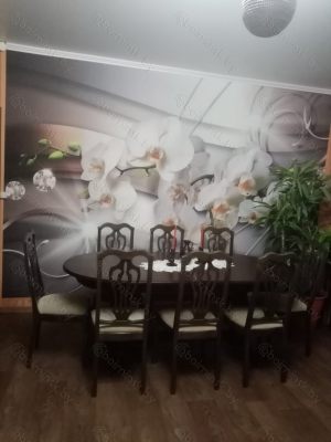 Орхиднея 3Д-2